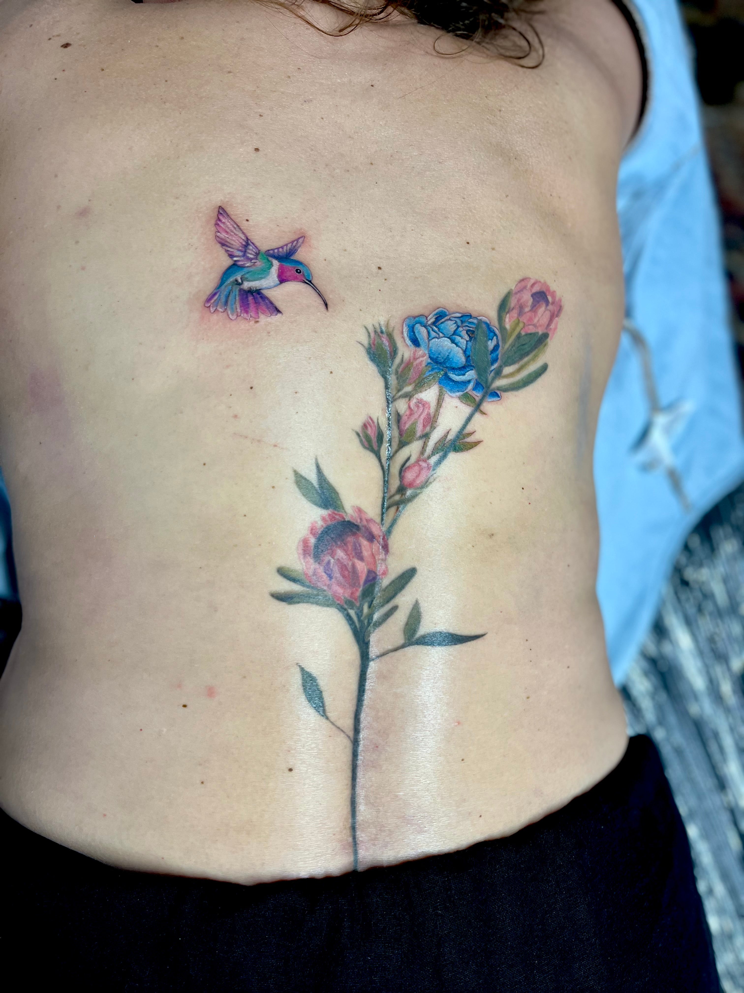 Tattoo client's coloured hummingbird and protea flowers fineline tattoo on back tattooed by sugar viper tattoo studio in auckland new zealand